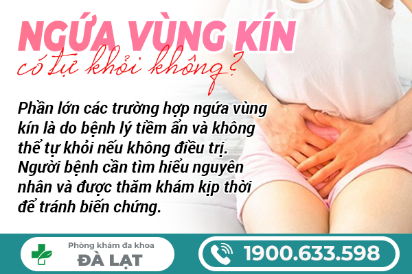 Hình ảnh minh họa